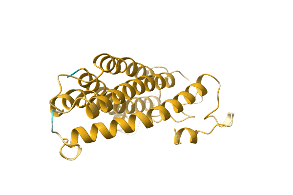 AF-A0A2U5A540-F1 image