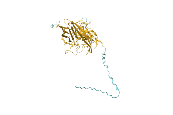 AF-A0A2W5IEP3-F1 image
