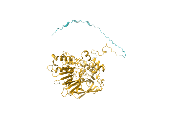 AF-A0A2W5RP85-F1 image