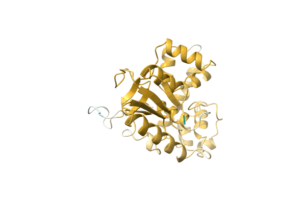 AF-A0A2Z4MZB6-F1 image