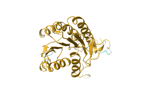 AF-A0A3A0EQN4-F1 image
