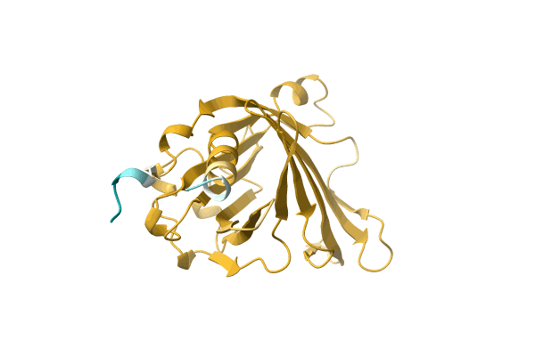 AF-A0A3B8Y142-F1 image