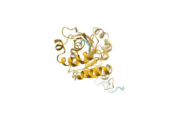 AF-A0A3D0Q2U6-F1 image