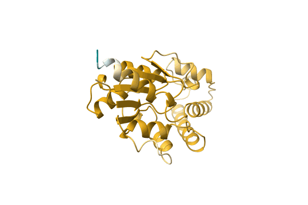 AF-A0A3D5FJJ1-F1 image
