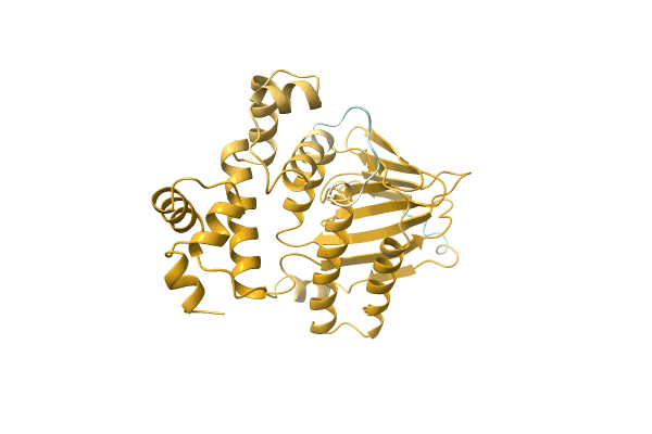 AF-A0A3D9LAG2-F1 image