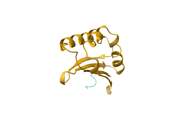AF-A0A3E0X124-F1 image