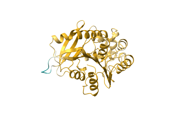 AF-A0A3G1DJF0-F1 image
