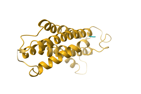 AF-A0A3G3AQS7-F1 image