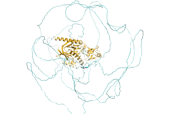 AF-A0A3Q1HH77-F1 image