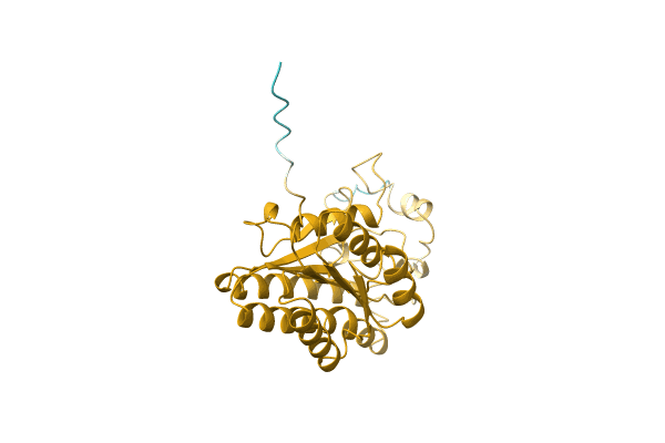 AF-A0A3Q8GLE8-F1 image