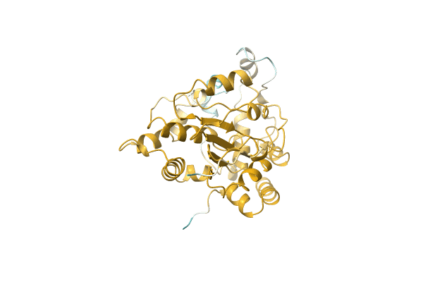 AF-A0A3Q9PYQ6-F1 image