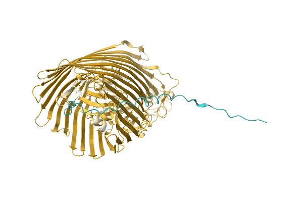 AF-A0A3Q9PYS8-F1 image