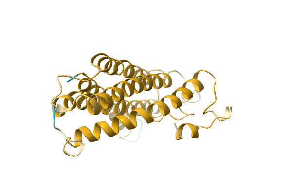 AF-A0A3R5U658-F1 image