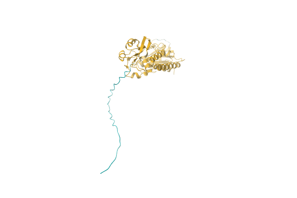 AF-A0A3R9QII1-F1 image