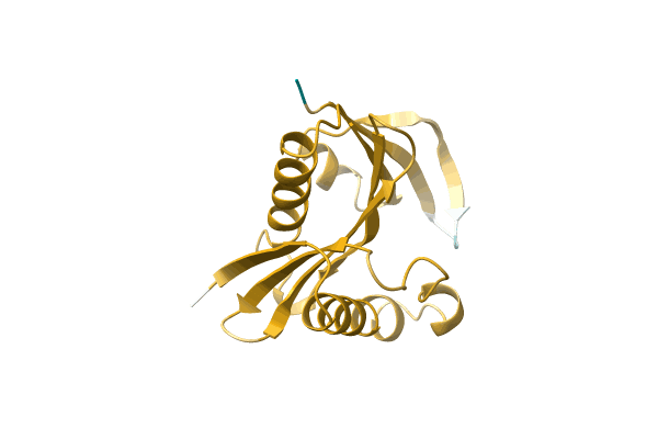 AF-A0A3S4NMU2-F1 image
