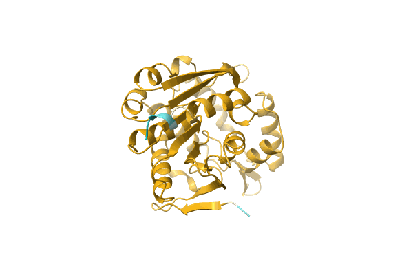 AF-A0A3S4PVL8-F1 image
