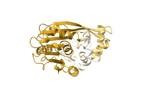 AF-A0A411KUP5-F1 image