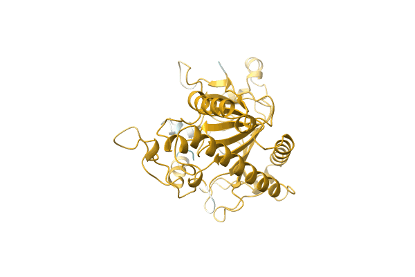 AF-A0A411KUQ7-F1 image