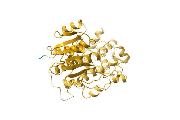 AF-A0A411KUU5-F1 image