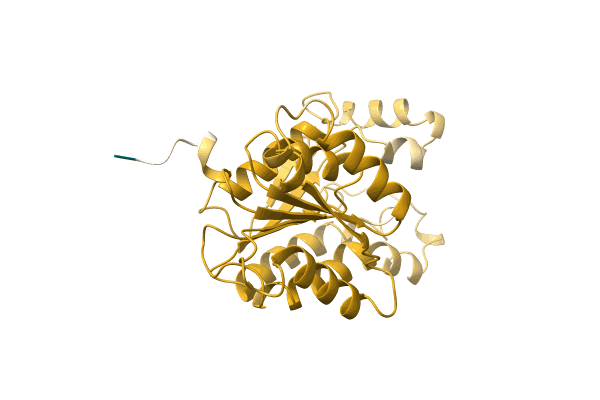 AF-A0A411KUU9-F1 image