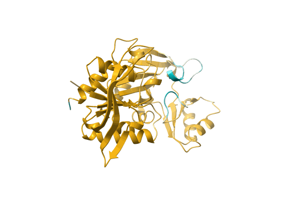 AF-A0A482PU20-F1 image