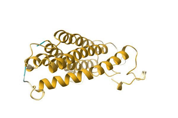 AF-A0A499JPD2-F1 image
