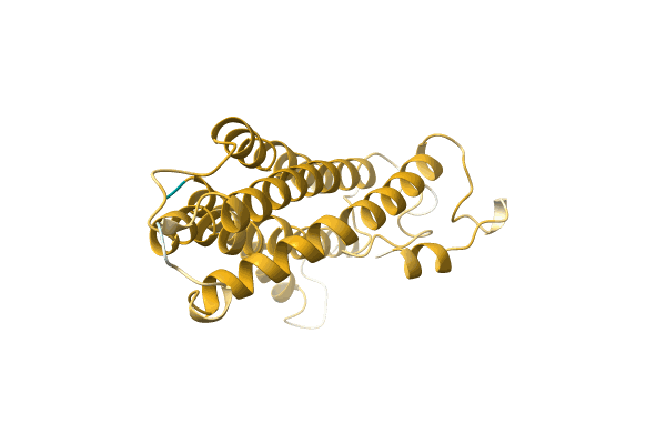 AF-A0A499KXG7-F1 image
