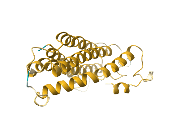 AF-A0A499L8I7-F1 image