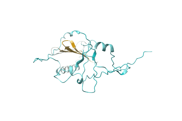 AF-A0A4C1S7Q4-F1 image