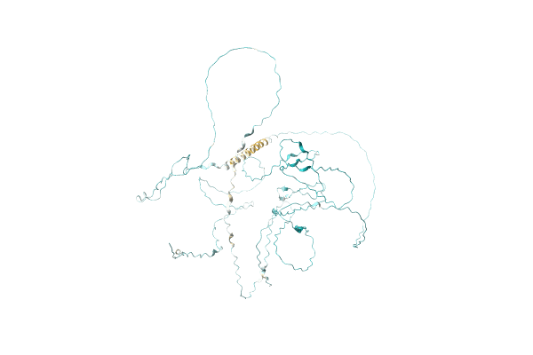 AF-A0A4C1S7R7-F1 image