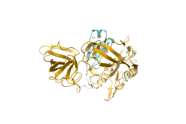 AF-A0A4D6PP28-F1 image
