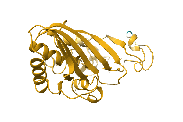 AF-A0A4D6PSB8-F1 image