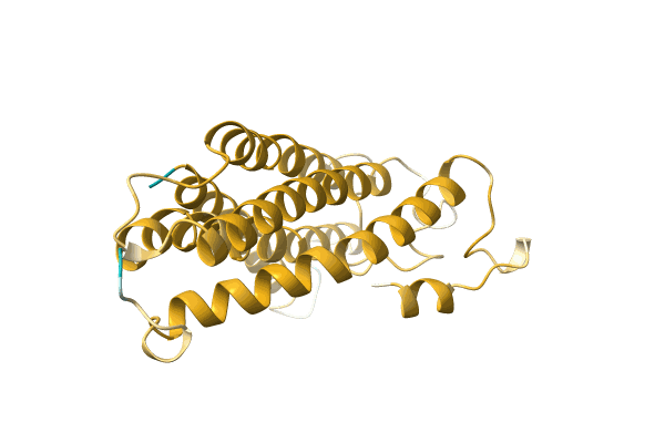 AF-A0A4D6YQP4-F1 image