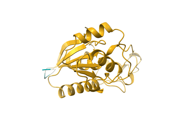 AF-A0A4Q2ABX5-F1 image