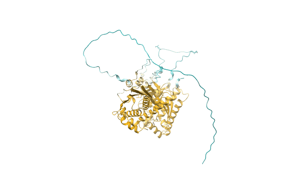 AF-A0A4Q4PJM2-F1 image