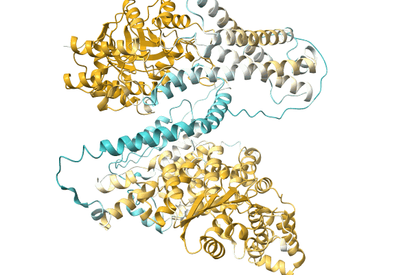 AF-A0A4Q4U1F8-F1 image