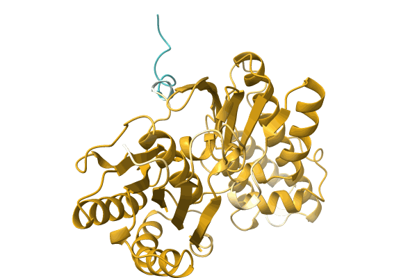 AF-A0A4Q5IKL4-F1 image