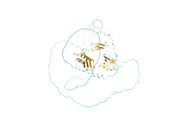 AF-A0A4Q5XLS3-F1 image