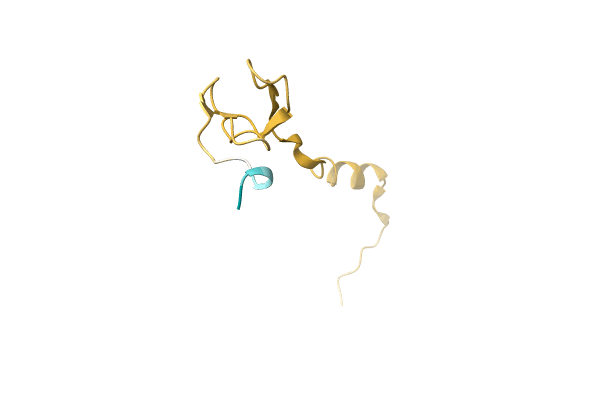 AF-A0A4Q5XXA2-F1 image