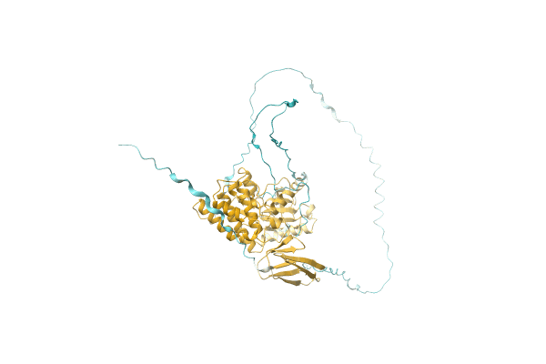 AF-A0A4Q5Y6R0-F1 image