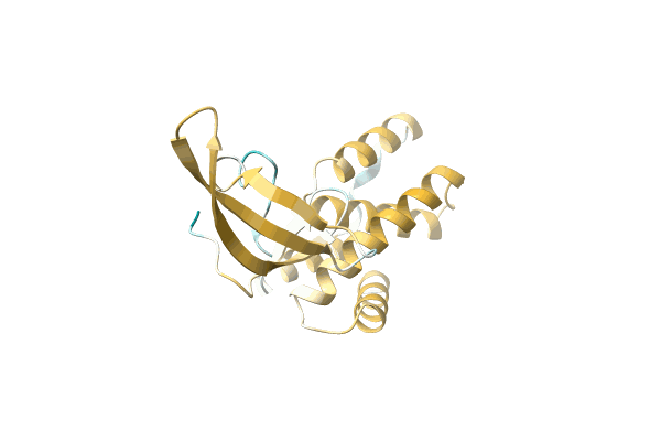 AF-A0A4Q7YCR5-F1 image