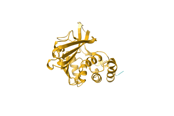 AF-A0A4T2AU84-F1 image