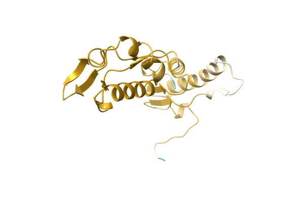 AF-A0A4U8VF74-F1 image