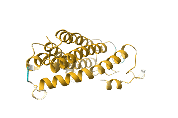 AF-A0A4Y5TKU9-F1 image