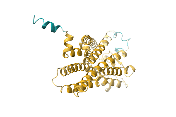 AF-A0A516RML4-F1 image