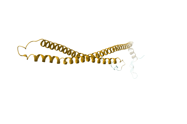 AF-A0A5C2GYV4-F1 image