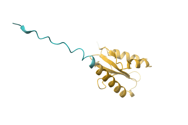 AF-A0A5C4NBI6-F1 image