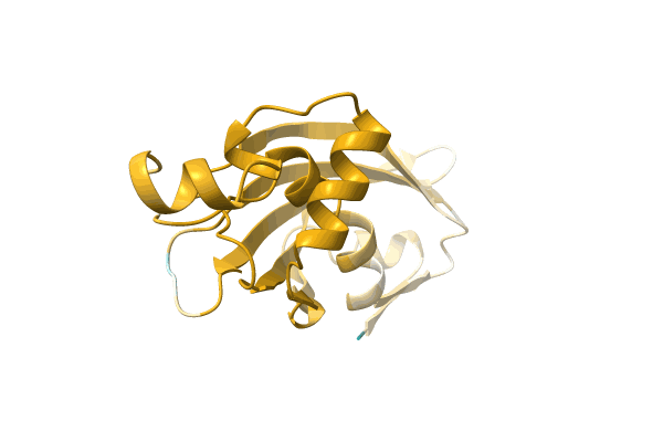 AF-A0A5C4NWV1-F1 image
