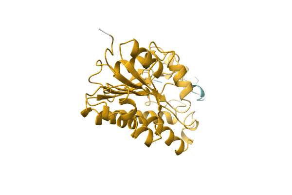AF-A0A5D0Q4D3-F1 image