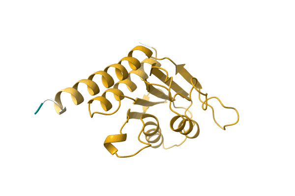 AF-A0A5D4P6V2-F1 image